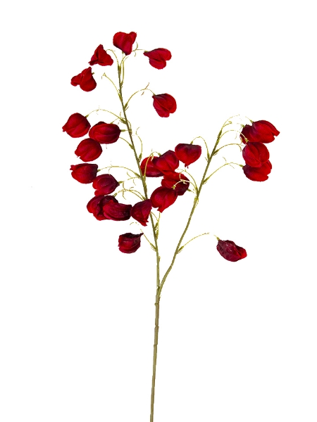 Picture of 38" CHINESE LANTERN SPRAY