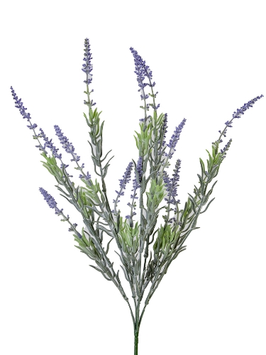 Picture of 22" LAVENDER BUSH