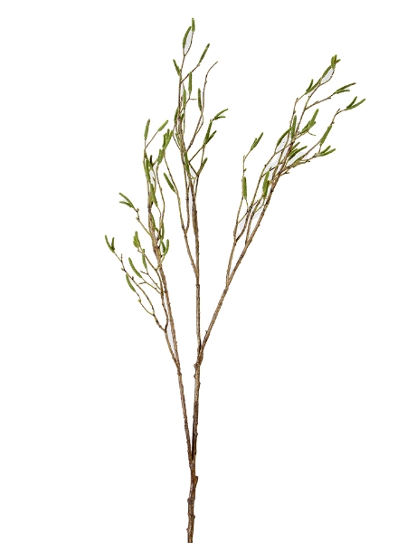 Picture of 40" BIRCH BUD SPRAY