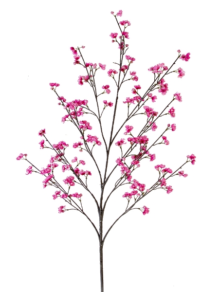 Picture of 51" BOUVARDIA SPRAY