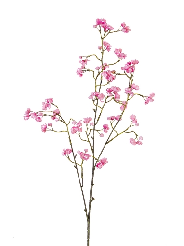 Picture of 36" BOUVARDIA SPRAY