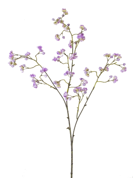 Picture of 36" BOUVARDIA SPRAY