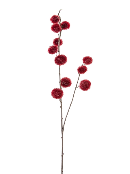 Picture of 32" CALLIRHYTIS BRANCH