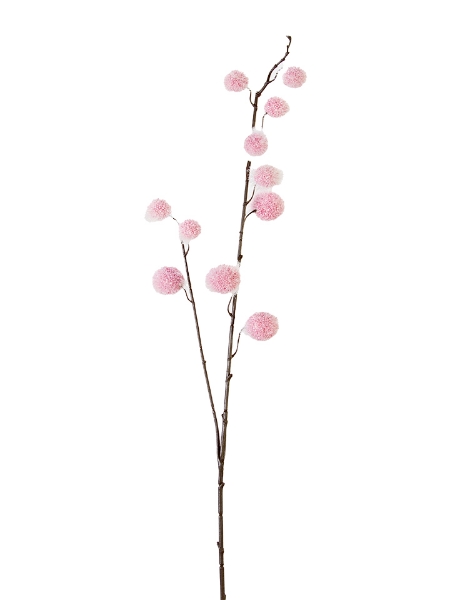 Picture of 32" CALLIRHYTIS BRANCH