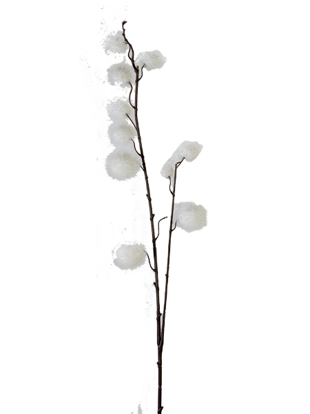 Picture of 32" CALLIRHYTIS BRANCH