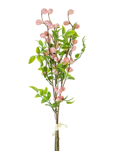 Picture of 21" CALLIRHYTIS BUNDLE