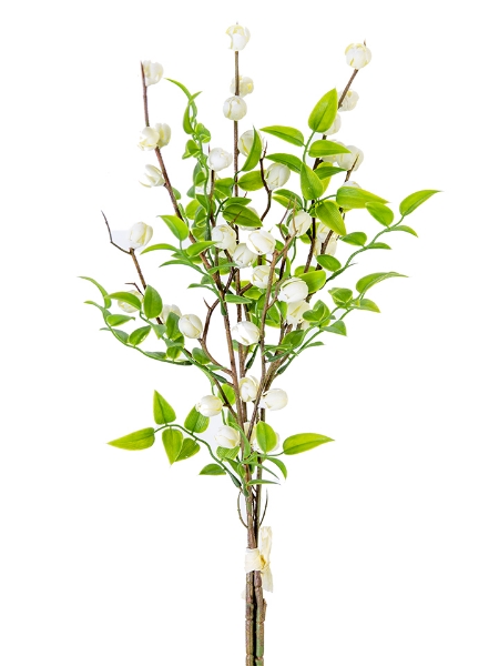 Picture of 21" CALLIRHYTIS BUNDLE