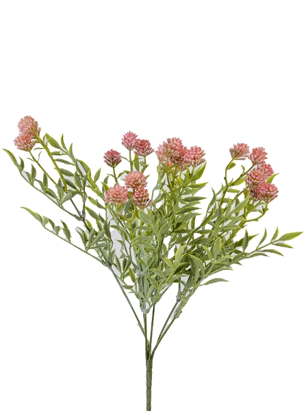 Picture of 17"ECHIUM FLOWER BUSH