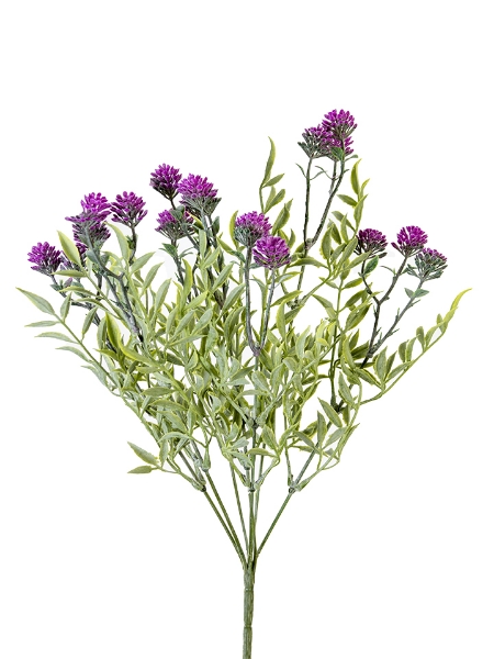 Picture of 17" ECHIUM FLOWER BUSH