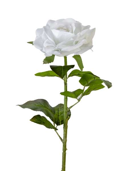Picture of 28" REAL TOUCH  ROSE STEM