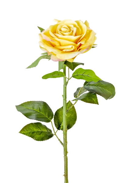 Picture of 28" REAL TOUCH  ROSE STEM