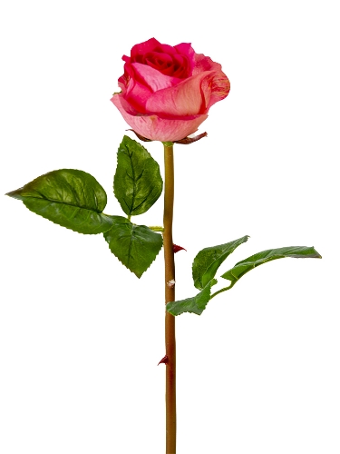 Picture of 23" UV PROTECED ROSE BUD STEM