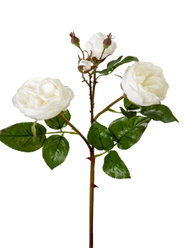 Picture of 24" UV PROTECTED CABBAGE ROSE