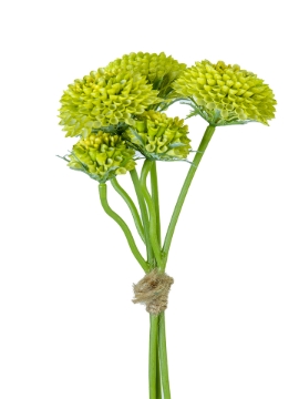 Picture of 13" DAHLIA POM BUNDLE