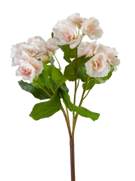 Picture of 17" UV PROTECTED BEGONIA BUSH