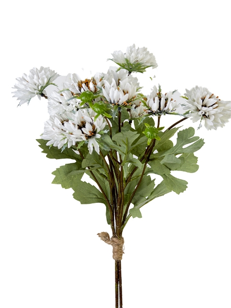 Picture of 20" CHRYSANTHEMUM BUNDLE