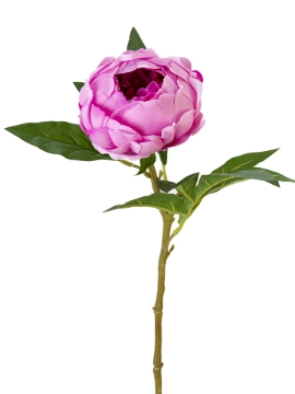 Picture of 23" REAL TOUCH PEONY SPRAY