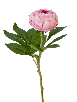 Picture of 23" REAL TOUCH PEONY SPRAY