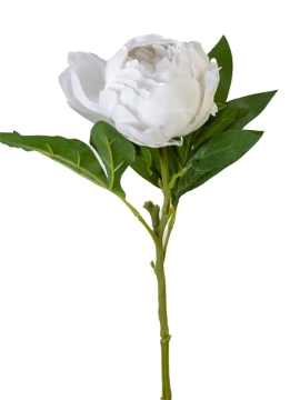 Picture of 23" REAL TOUCH PEONY SPRAY