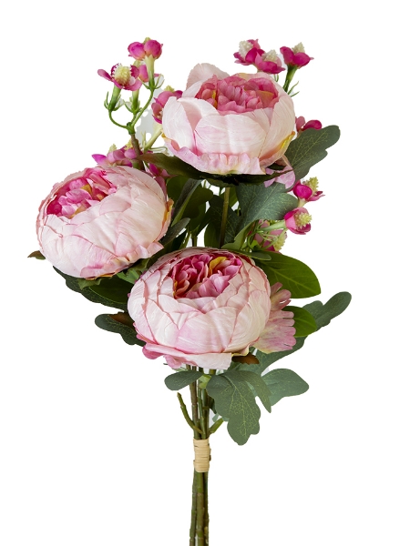 Picture of 18" PEONY FILLER BUNDLE