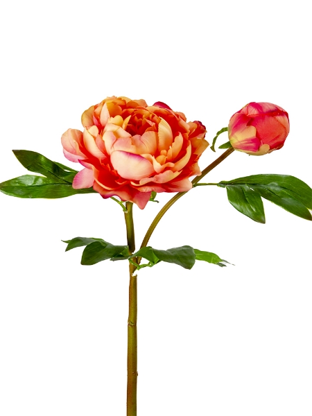 Picture of 24" UV PROTECTED PEONY