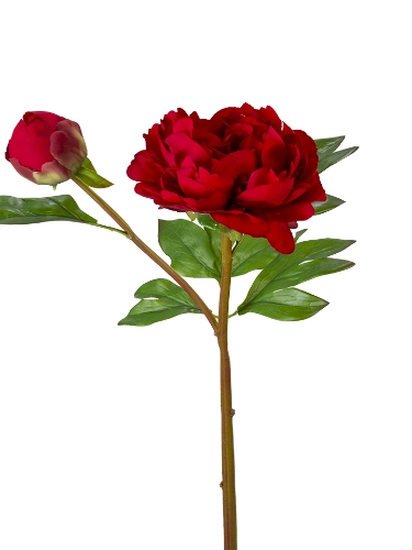 Picture of 24" UV PROTECTED PEONY