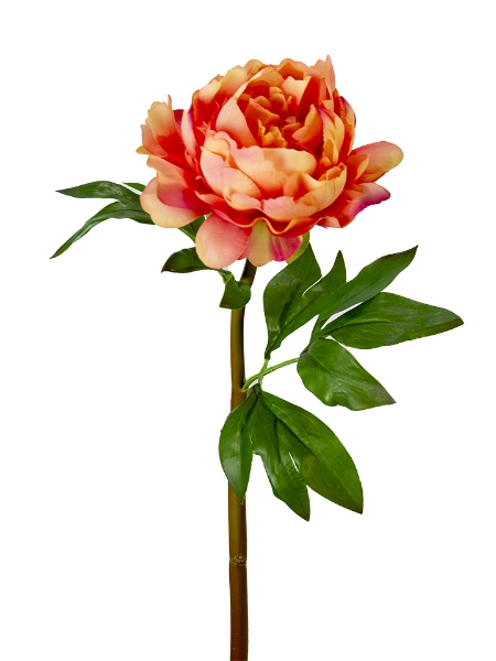Picture of 23" UV PROTECTED PEONY