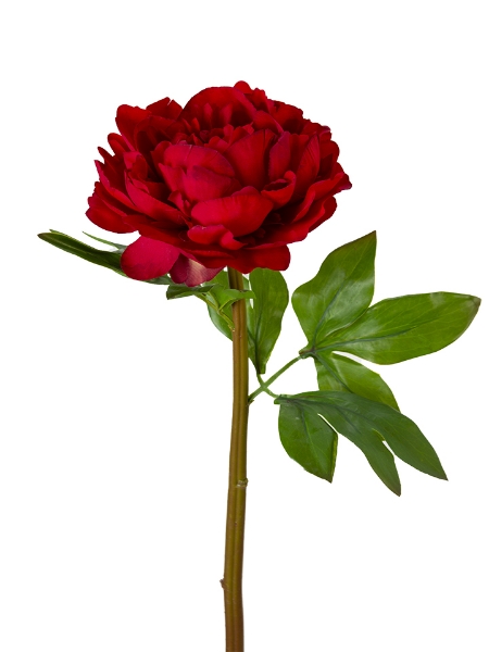 Picture of 23" UV PROTECTED PEONY