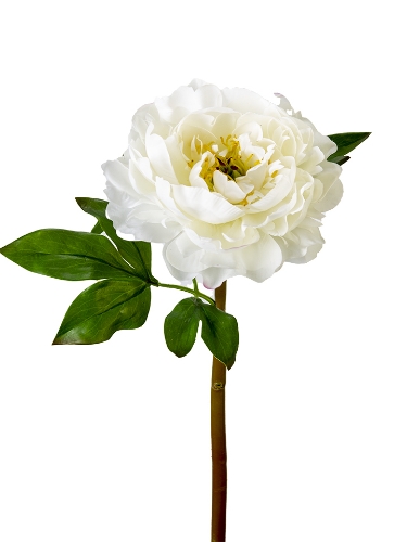 Picture of 23" UV PROTECTED PEONY