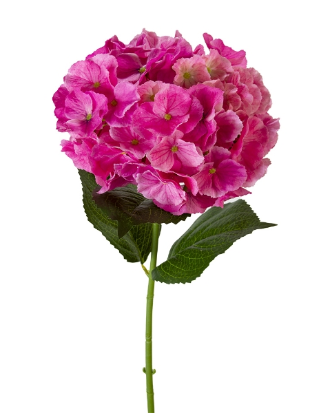 Picture of 29" REAL TOUCH HYDRANGEA STEM