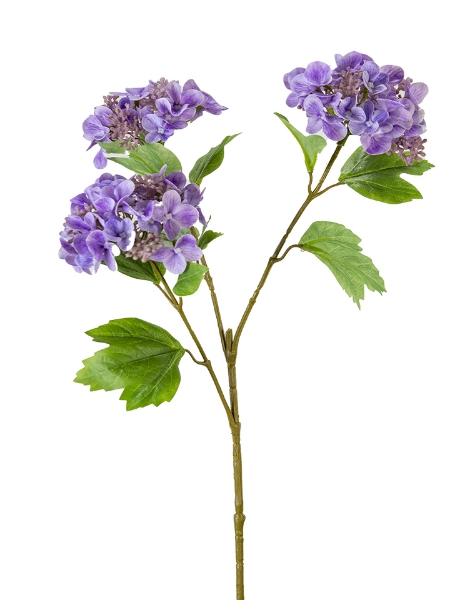 Picture of 33" HYDRANGEA SEED SPRAY