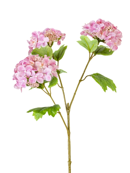 Picture of 33" HYDRANGEA SEED SPRAY
