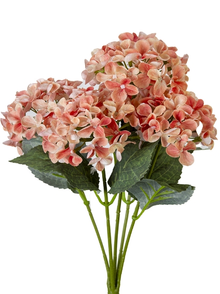 Picture of 17" HYDRANGEA BUSH