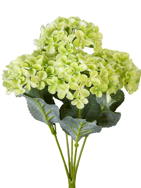 Picture of 17" HYDRANGEA BUSH