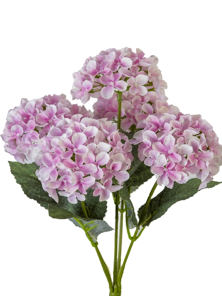Picture of 17" HYDRANGEA BUSH
