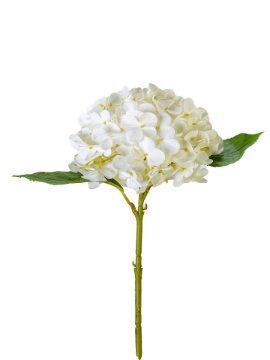Picture of 17" HYDRANGEA SPRAY
