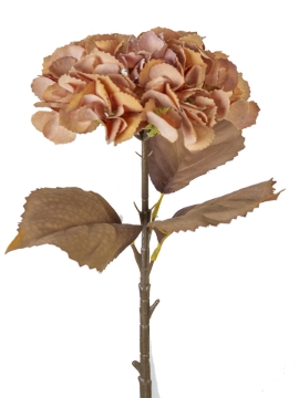 Picture of 19" HYDRANGEA STEM