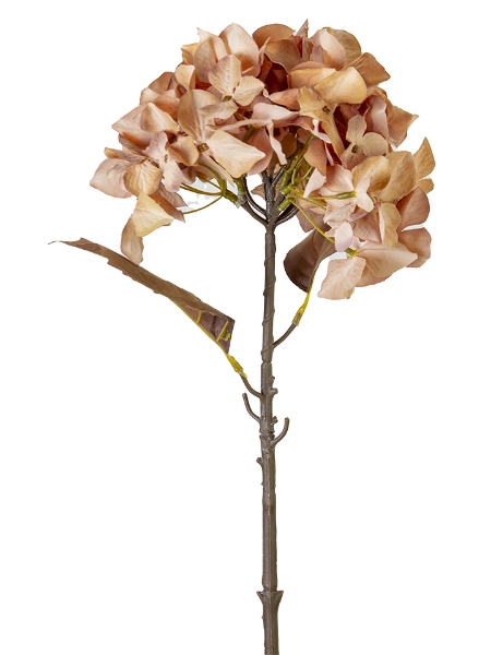 Picture of 26" HYDRANGEA STEM