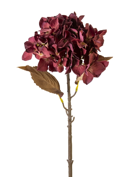 Picture of 26" HYDRANGEA STEM