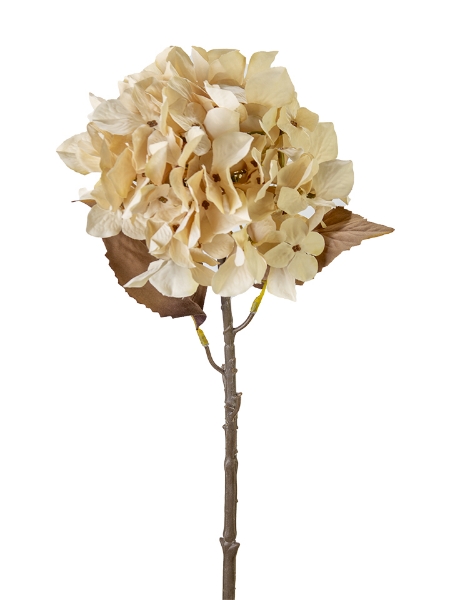 Picture of 26" HYDRANGEA STEM