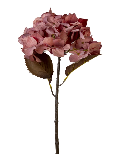 Picture of 26" HYDRANGEA STEM