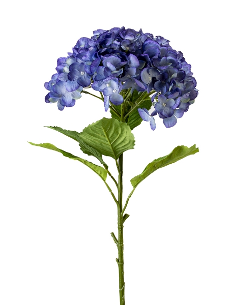 Picture of 36" HYDRANGEA STEM