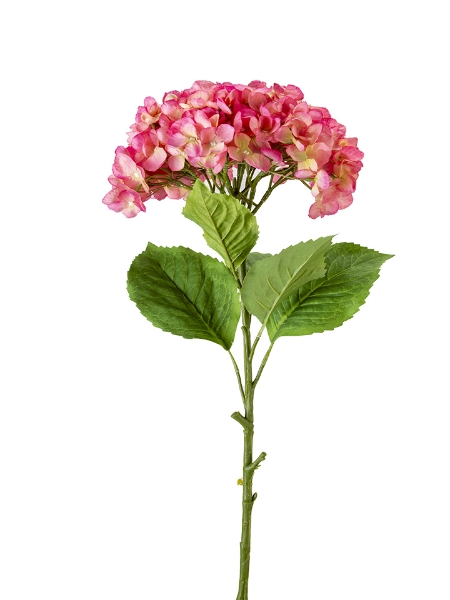 Picture of 36" HYDRANGEA STEM