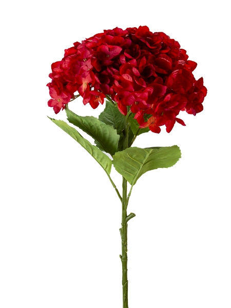 Picture of 36" HYDRANGEA STEM