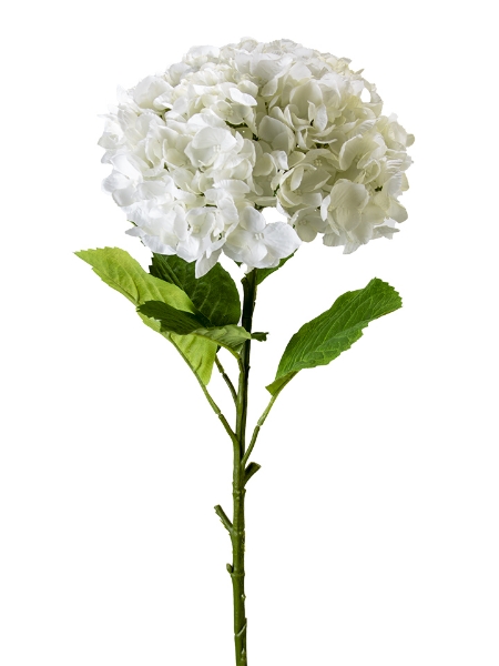 Picture of 36" HYDRANGEA STEM