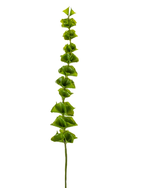 Picture of 42" BELLS OF IRELAND