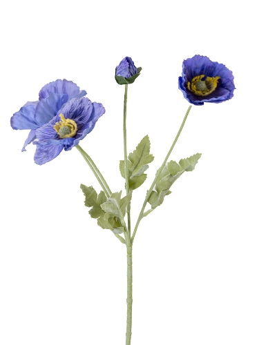 Picture of 25" REAL TOUCH  POPPY SPRAY