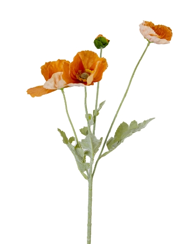 Picture of 25" REAL TOUCH  POPPY SPRAY