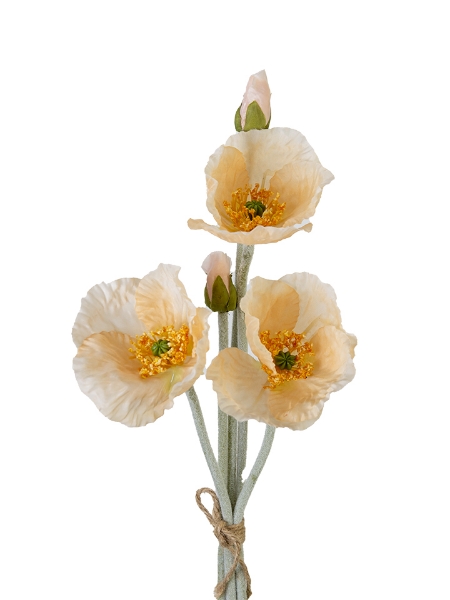 Picture of 19" POPPY BUNDLE