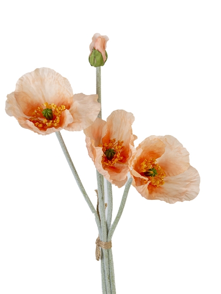 Picture of 19" POPPY BUNDLE